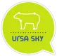 Ursa Sky logo